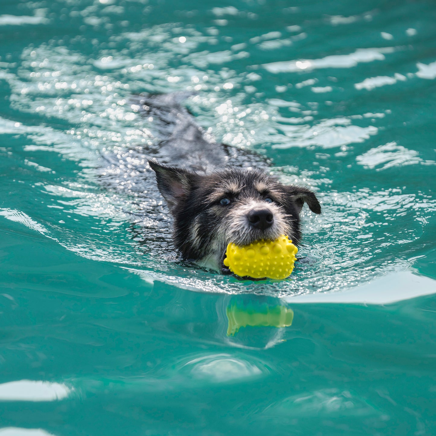 Dash Dog Mello-Yello Peanut Toy For Dog - Yellow - Heads Up For Tails