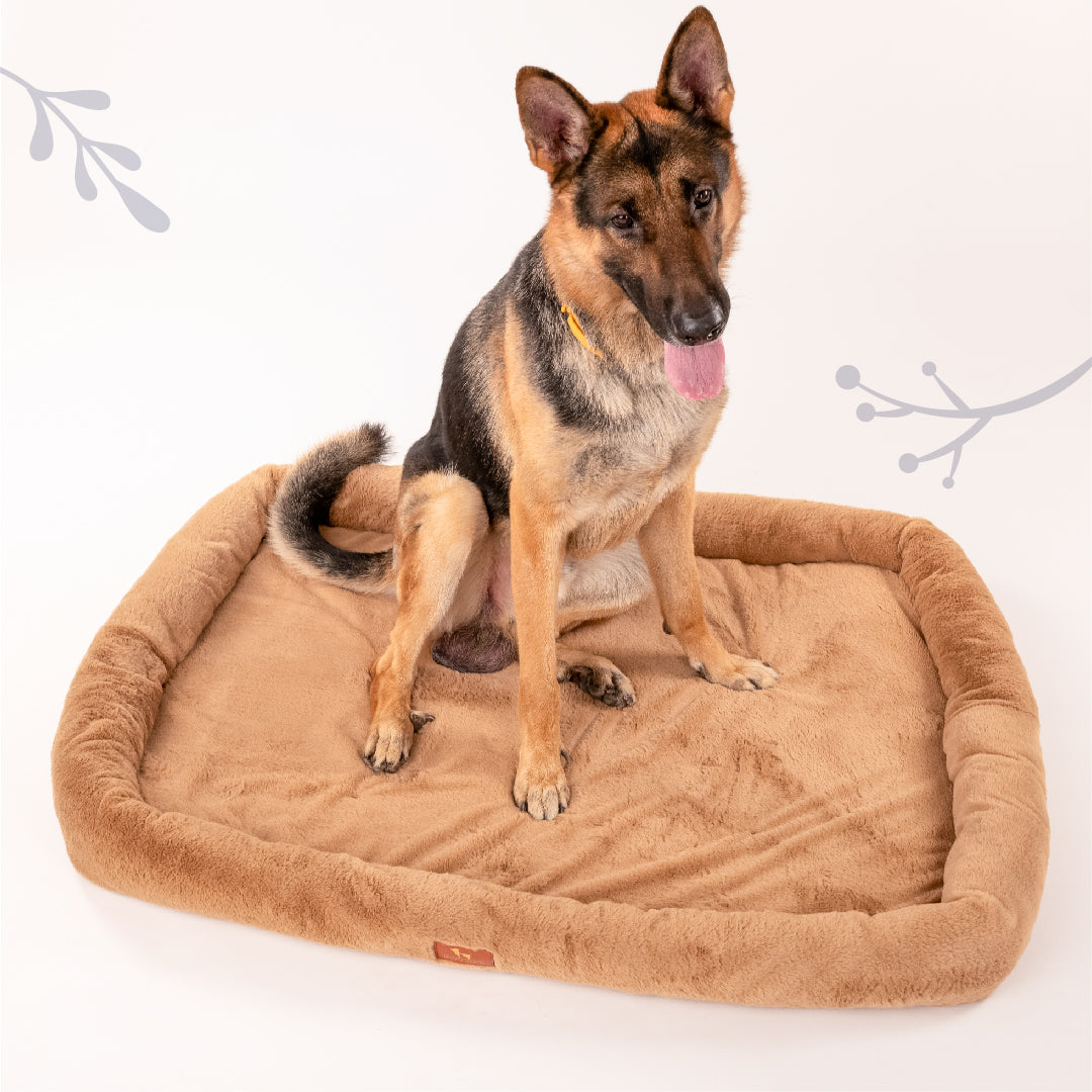 HUFT Fluffy Dreams Plush Mat - Brown - Heads Up For Tails