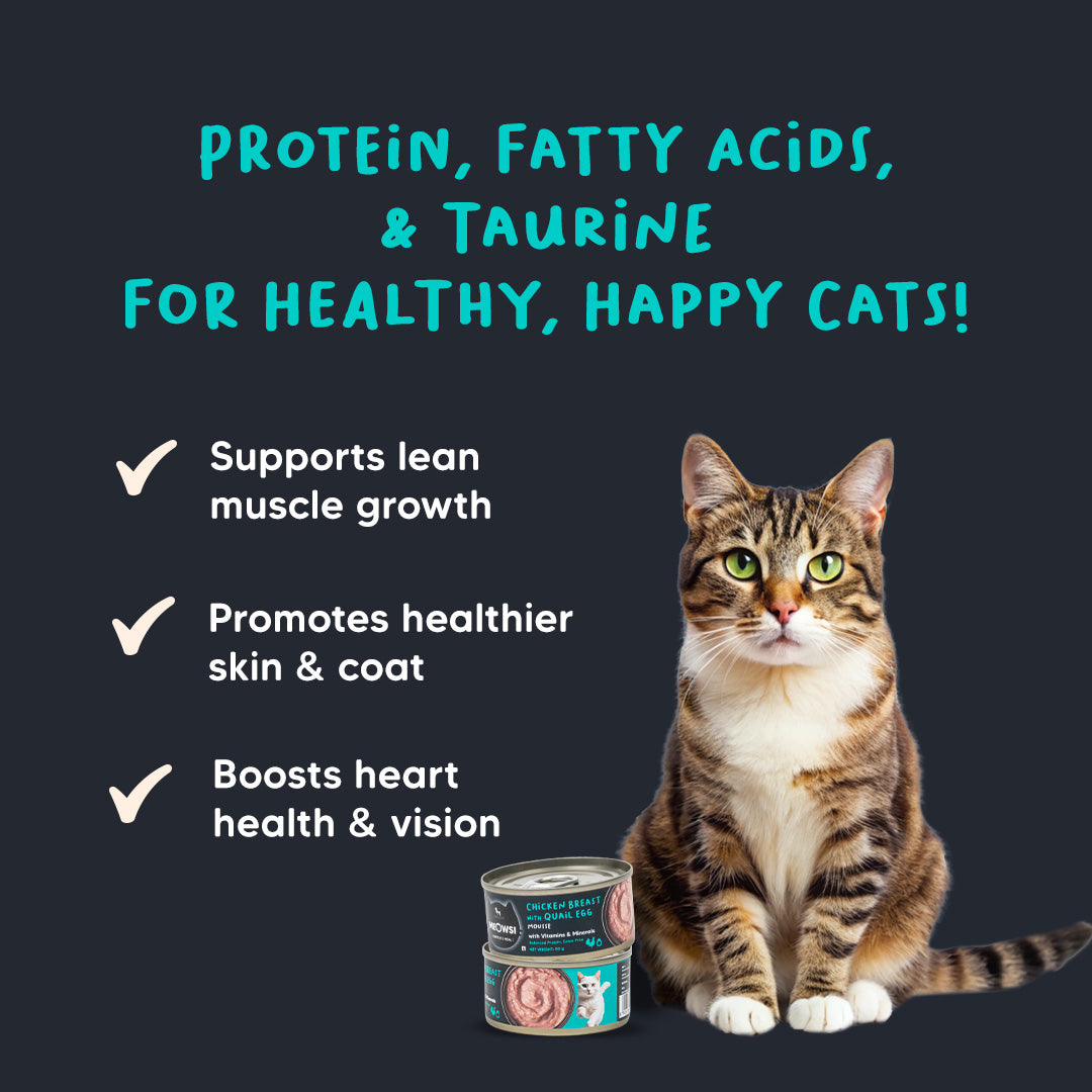 Meowsi by HUFT Chicken Breast With Quail Egg Mousse Canned Cat Wet Food-80 gm - Heads Up For Tails