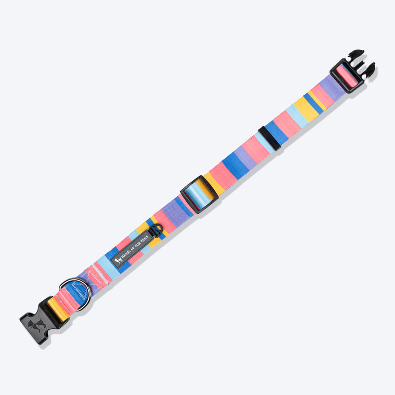 HUFT Spectrum Stripes Collar For Dog - Multicolor - Heads Up For Tails