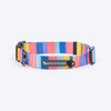 HUFT Spectrum Stripes Collar For Dog - Multicolor - Heads Up For Tails