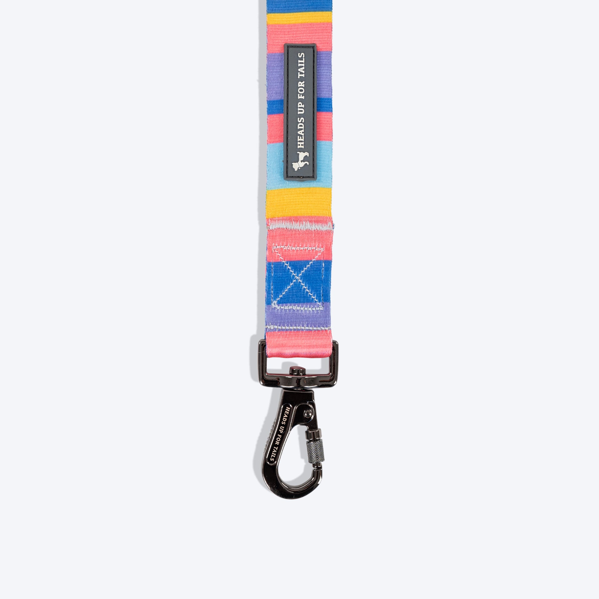 HUFT Spectrum Stripes Leash For Dog - Multicolor - Heads Up For Tails