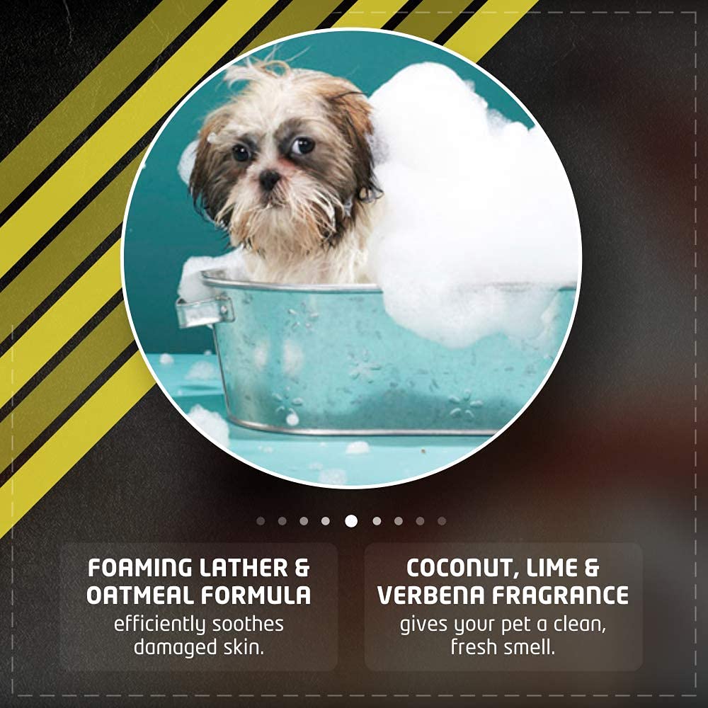 Wahl No Rinse Oatmeal Dog Shampoo - 210 ml - Heads Up For Tails