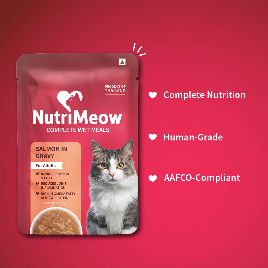 NutriMeow Salmon In Gravy Wet Food For Adult Cat - 80 gm - Heads Up For Tails