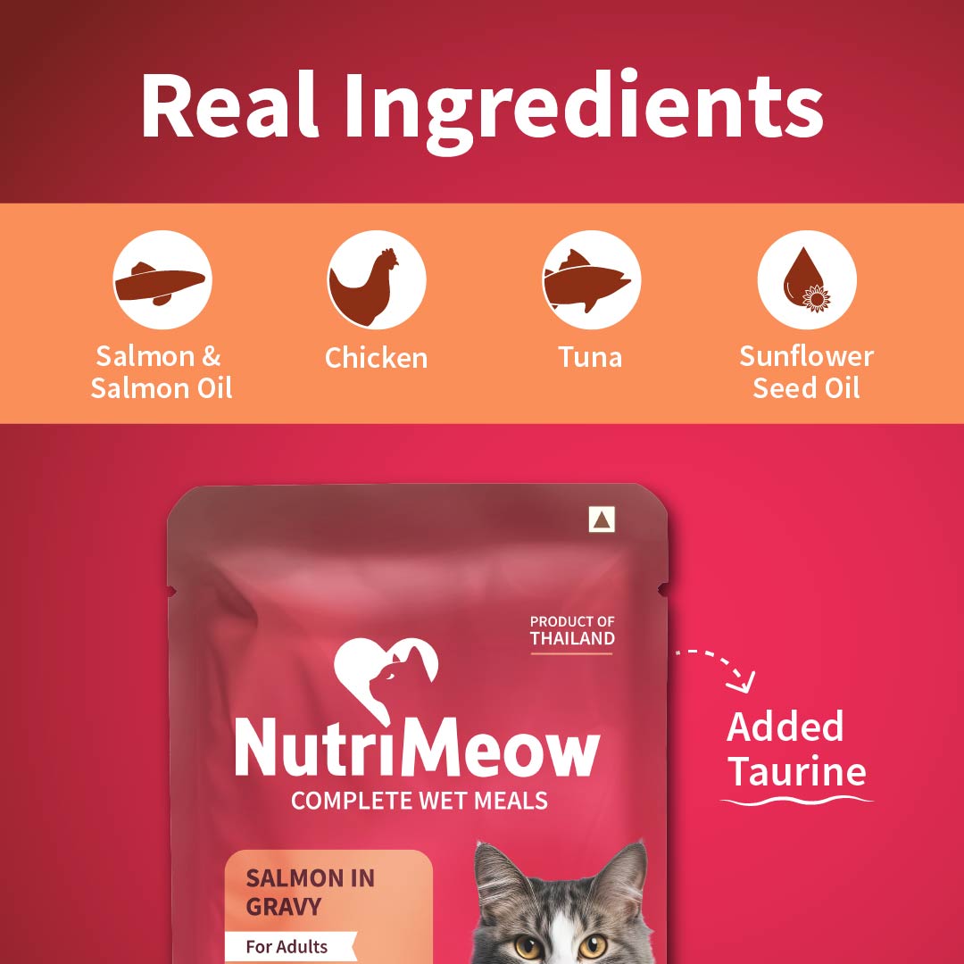 NutriMeow Salmon In Gravy Wet Food For Adult Cat - 80 gm - Heads Up For Tails