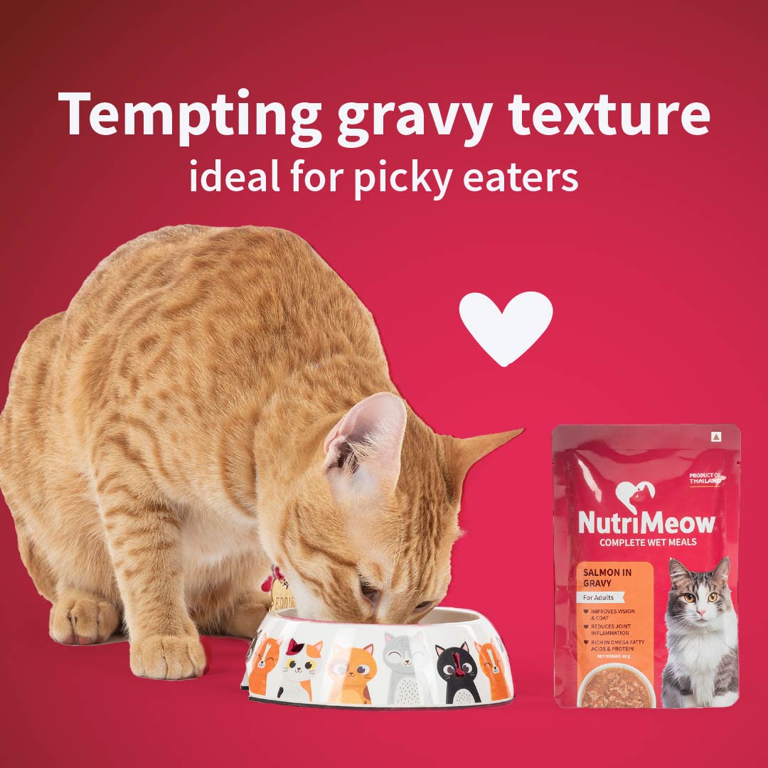 NutriMeow Salmon In Gravy Wet Food For Adult Cat - 80 gm - Heads Up For Tails