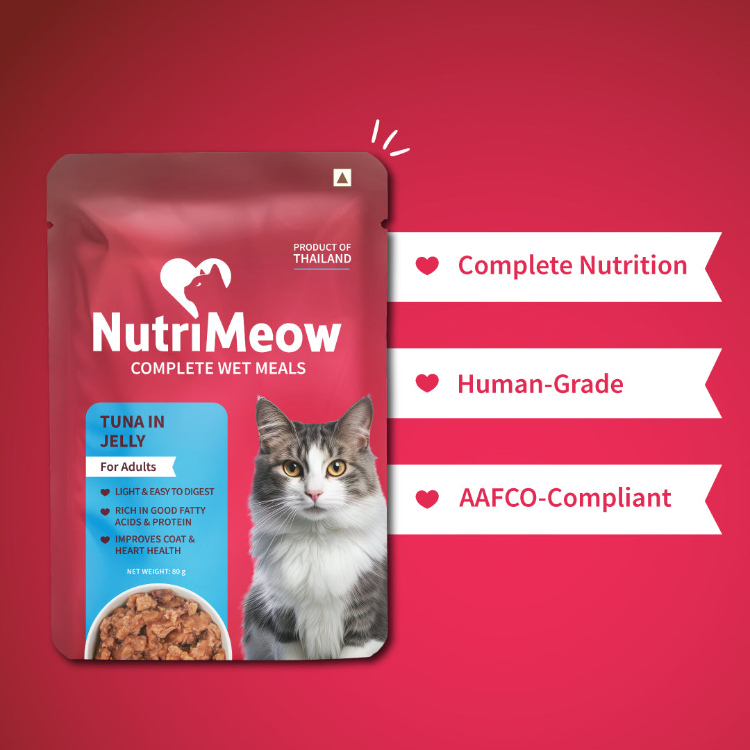 NutriMeow Tuna In Jelly Wet Food For Adult Cat - 80 gm - Heads Up For Tails
