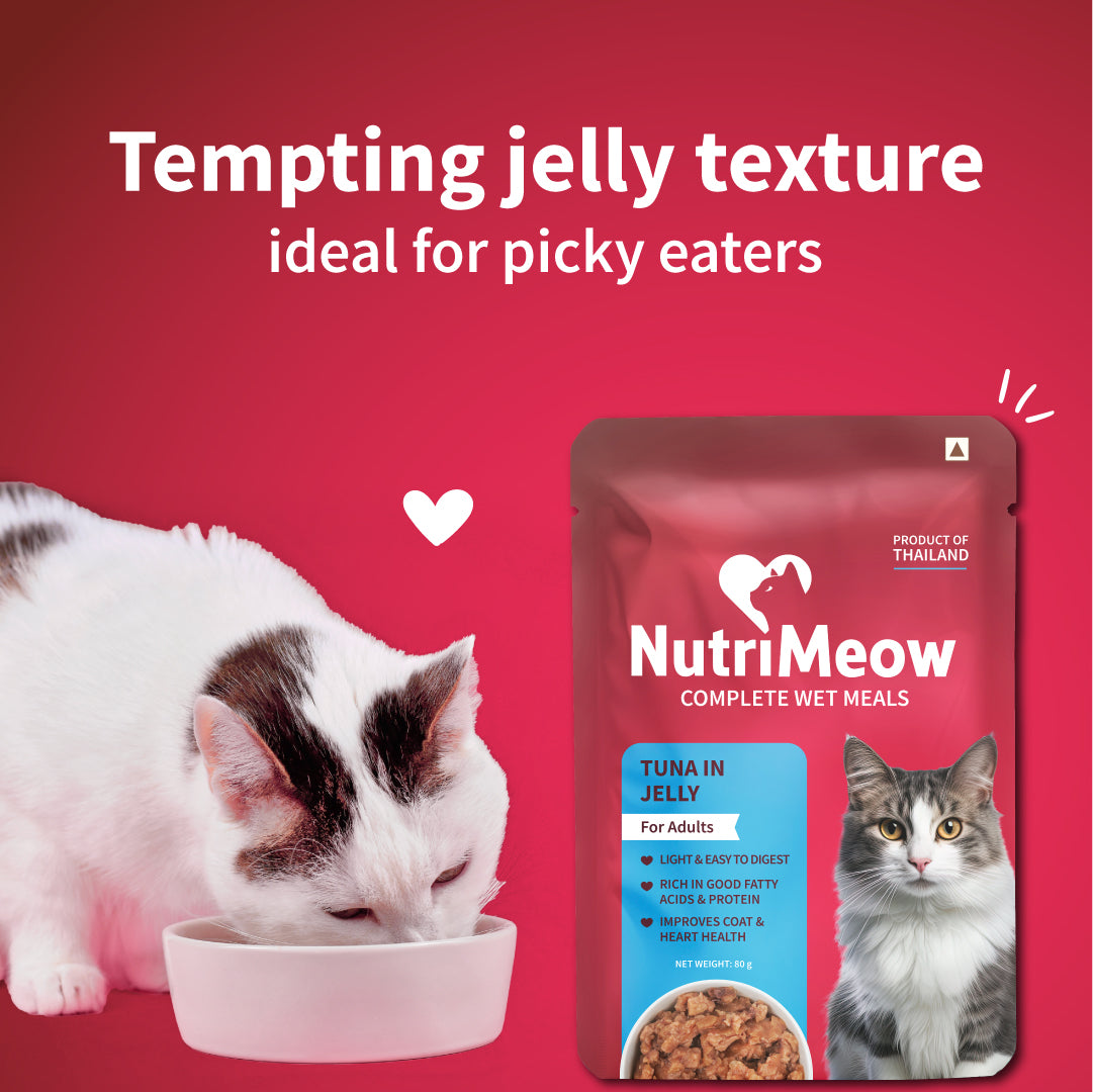 NutriMeow Tuna In Jelly Wet Food For Adult Cat - 80 gm - Heads Up For Tails