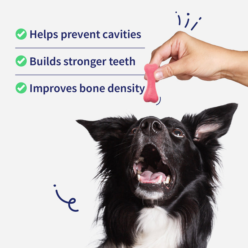 NutriWag Strawberry Calcium Chew Bones Treats For Dog - Heads Up For Tails