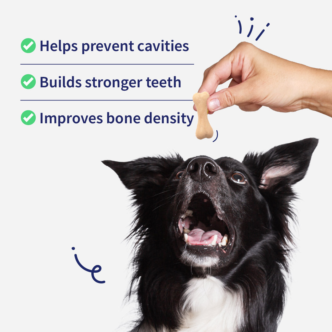 NutriWag Milk Calcium Chew Bones Treats For Dog - Heads Up For Tails