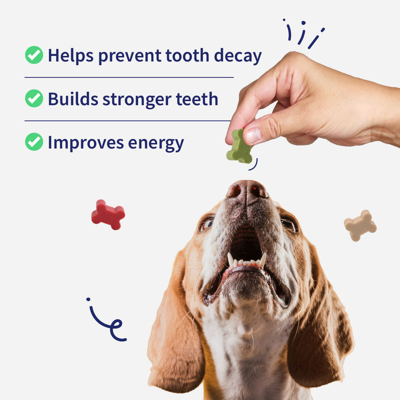 NutriWag Assorted Training Bites Dog Treats - 200 gm - Heads Up For Tails