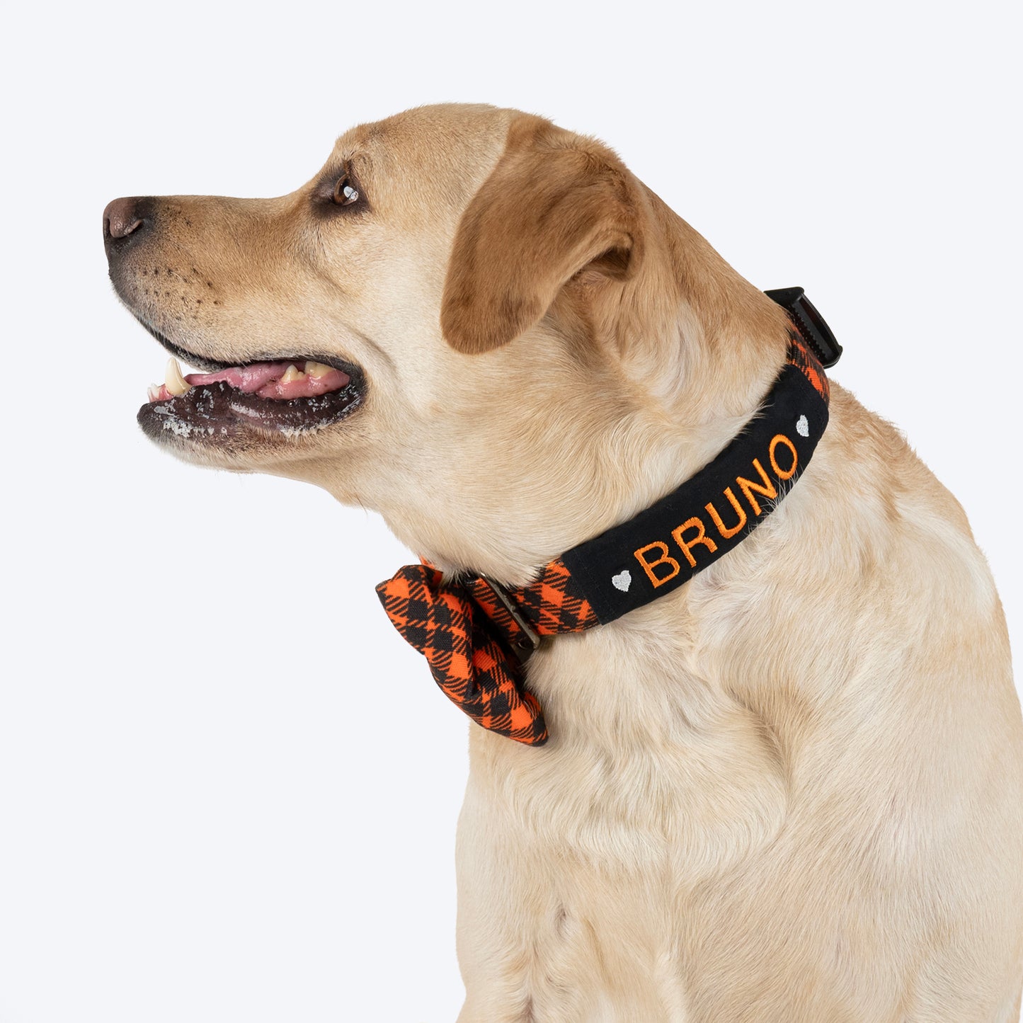 HUFT Personalised Tartan Fabric Collar With Bow Tie For Dogs - Orange - Heads Up For Tails