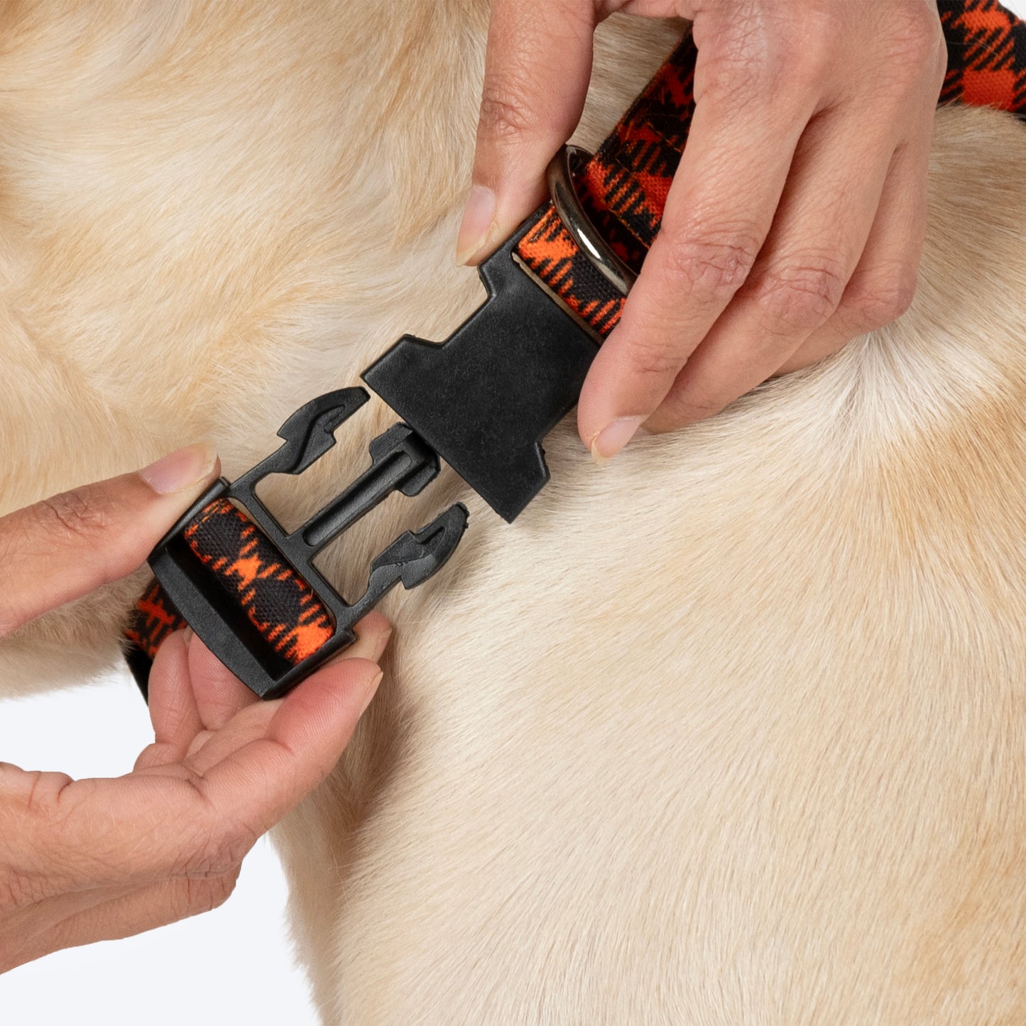 HUFT Personalised Tartan Fabric Collar With Bow Tie For Dogs - Orange - Heads Up For Tails