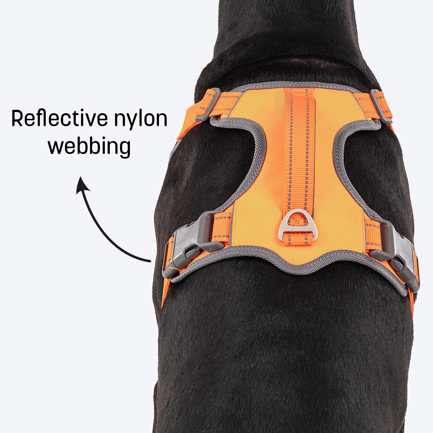 HUFT Active Pet Dog Harness - Orange_04