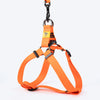 TLC Basic Step-In Harness For Dog - Orange - Heads Up For Tails