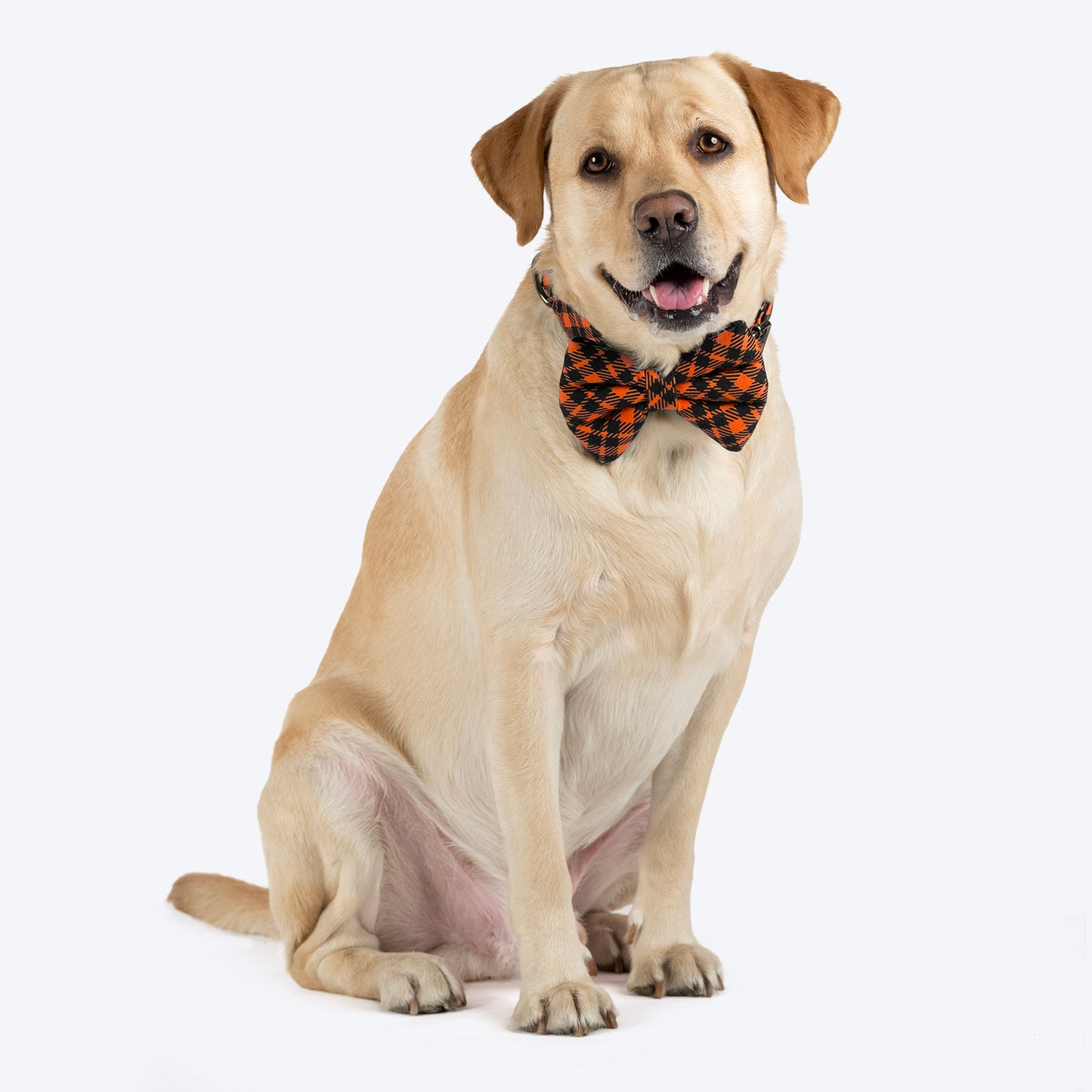HUFT Personalised Tartan Fabric Collar With Bow Tie For Dogs - Orange - Heads Up For Tails