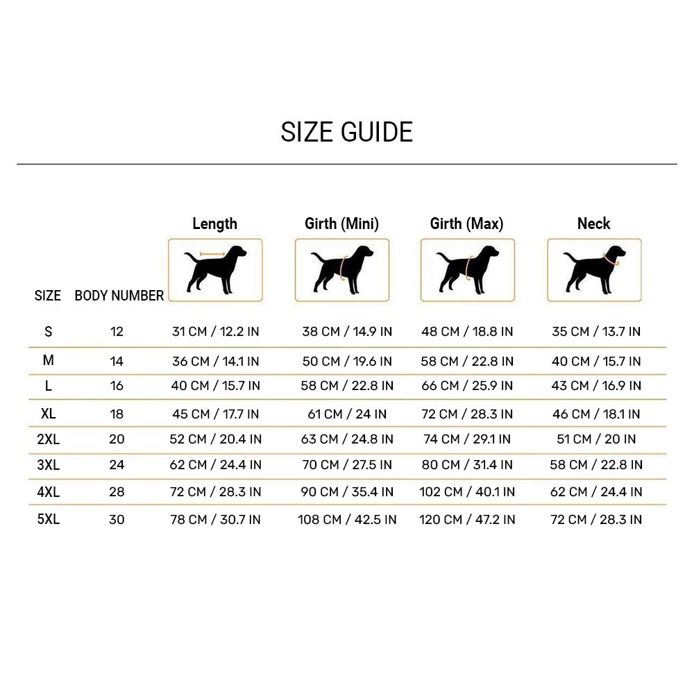 Dash Dog Outdoor Dog Jacket - Violet & Red_12