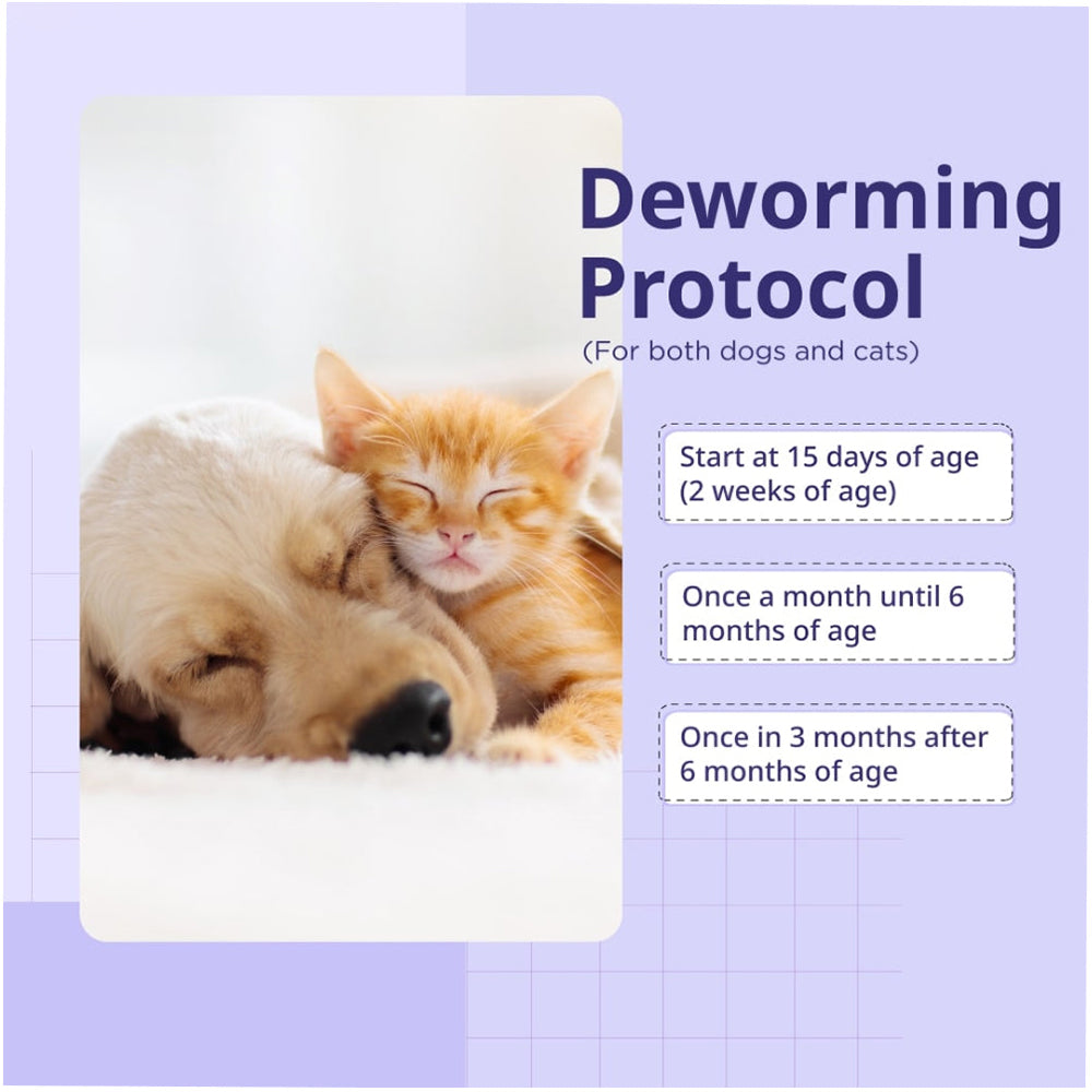 Neo Kumfurt Wormeez Suspension For Dog & Cat - 15 ml - Heads Up For Tails