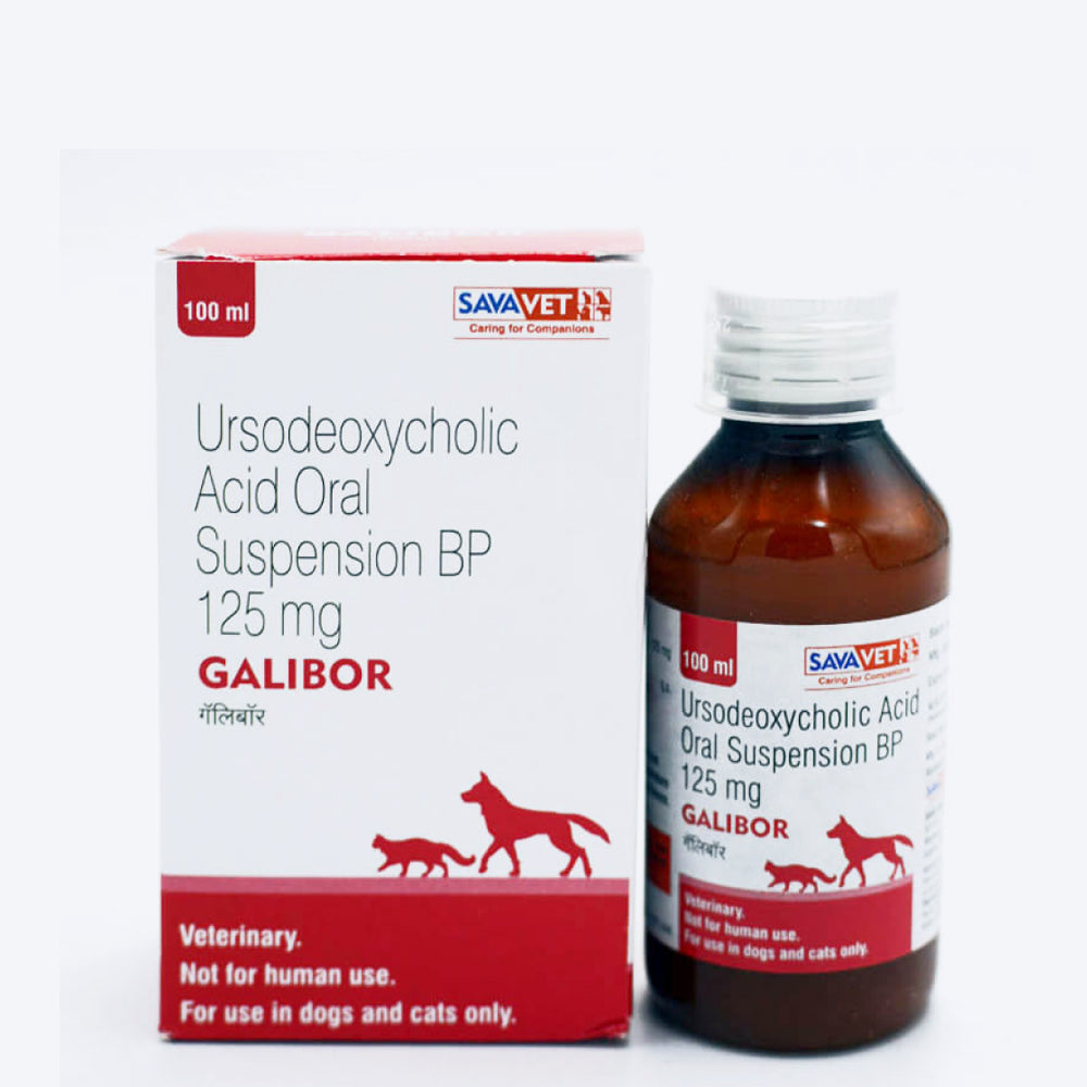 Savavet Galibor Syrup For Dog & Cat - 100 ml - Heads Up For Tails