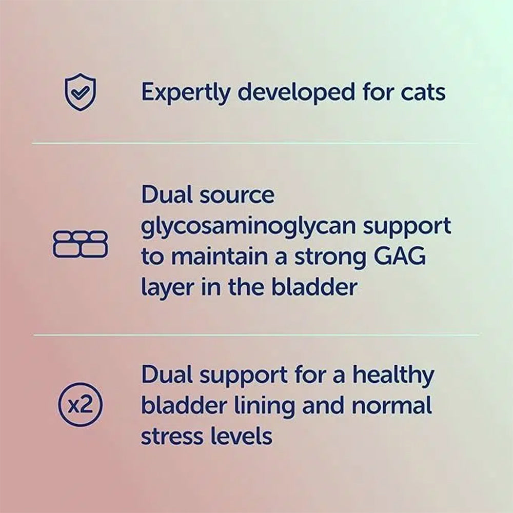 Scientific Remedies Cystophan Urinary Health Support For Cat - 30 Capsules - Heads Up For Tails