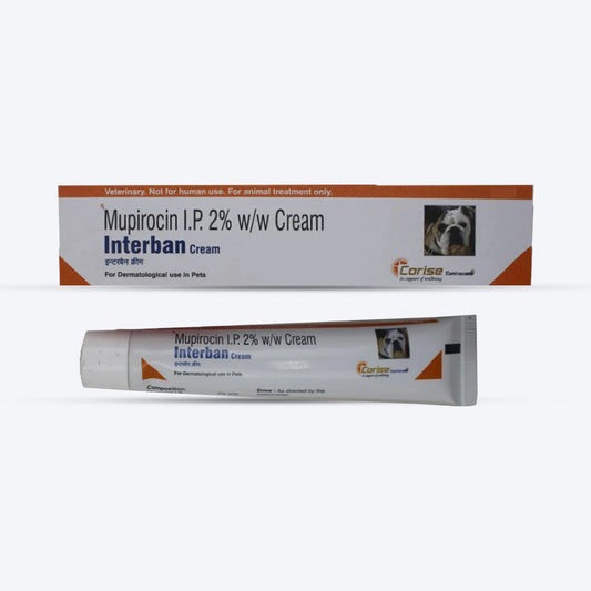 Corise Interban Antimicrobial Ointment For Dog & Cat - 10 gm - Heads Up For Tails