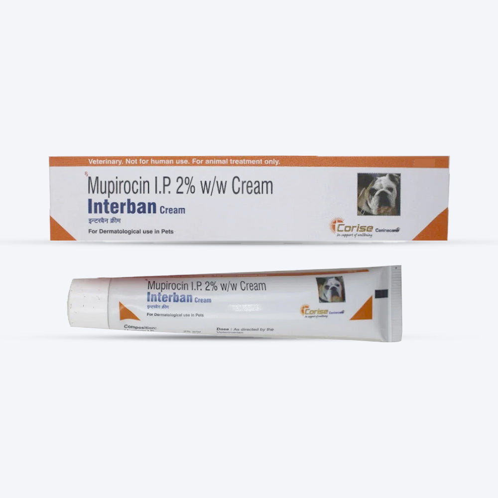 Corise Interban Antimicrobial Ointment For Dog & Cat - 10 gm - Heads Up For Tails