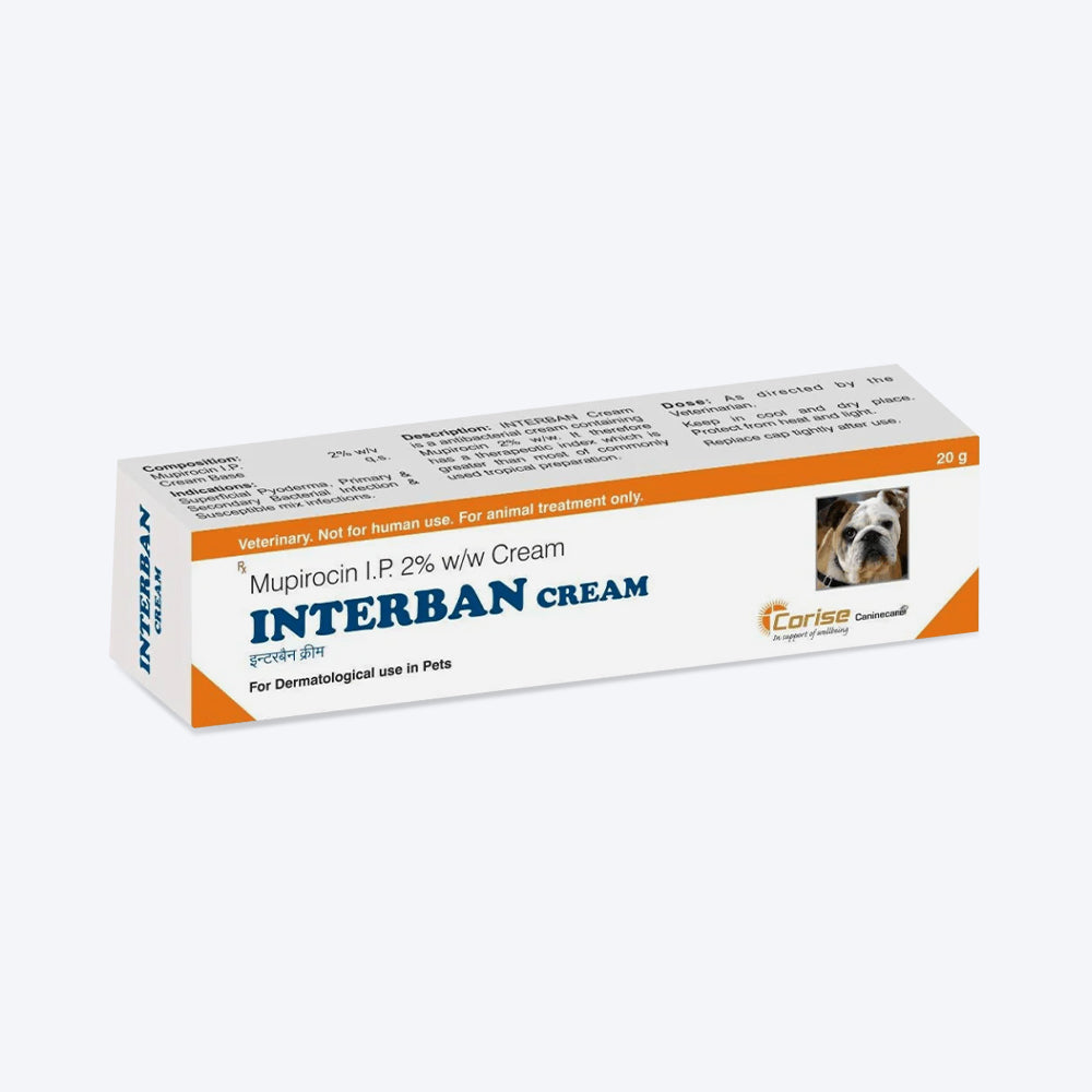 Corise Interban Antimicrobial Ointment For Dog & Cat - 10 gm - Heads Up For Tails