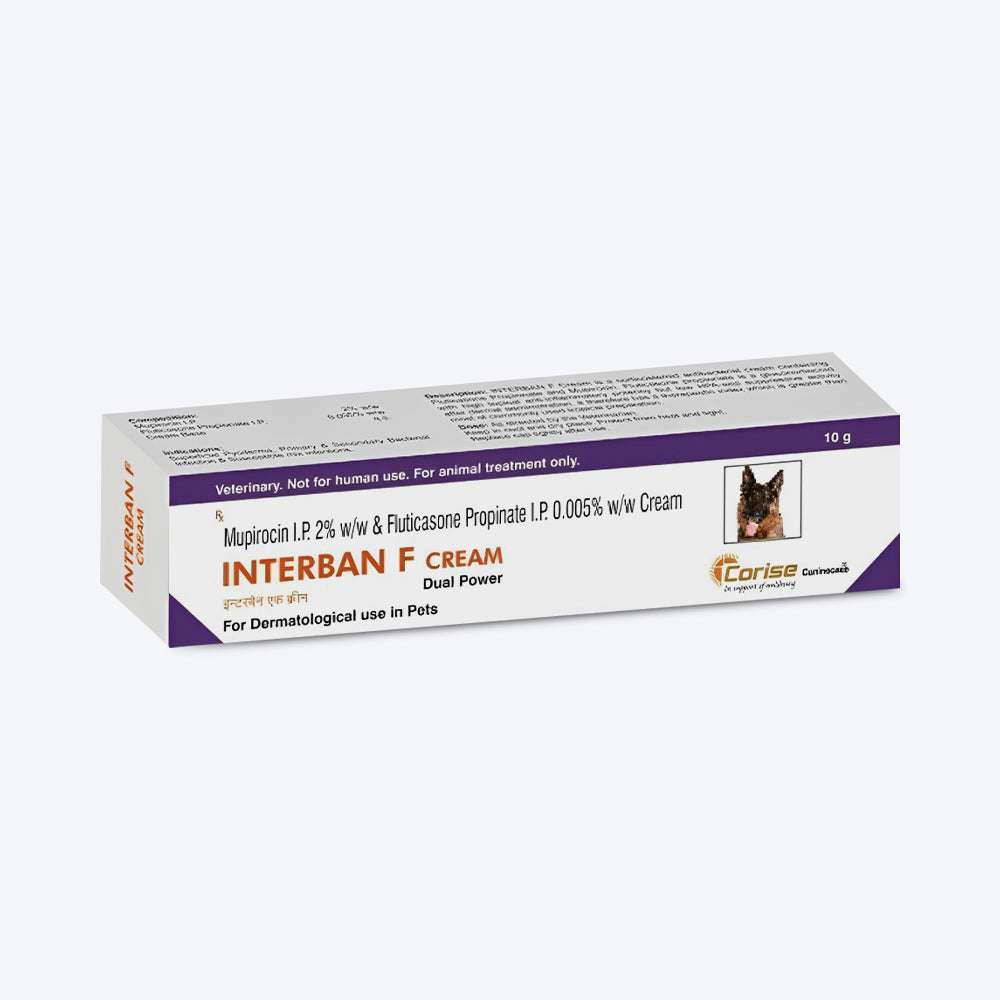 Corise Interban F Antifungal Ointment For Dog & Cat - 10 gm - Heads Up For Tails