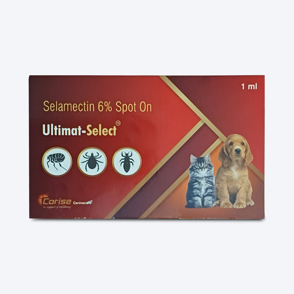 Corise Ultimat Select Solution For Dog & Cat - 1 ml - Heads Up For Tails