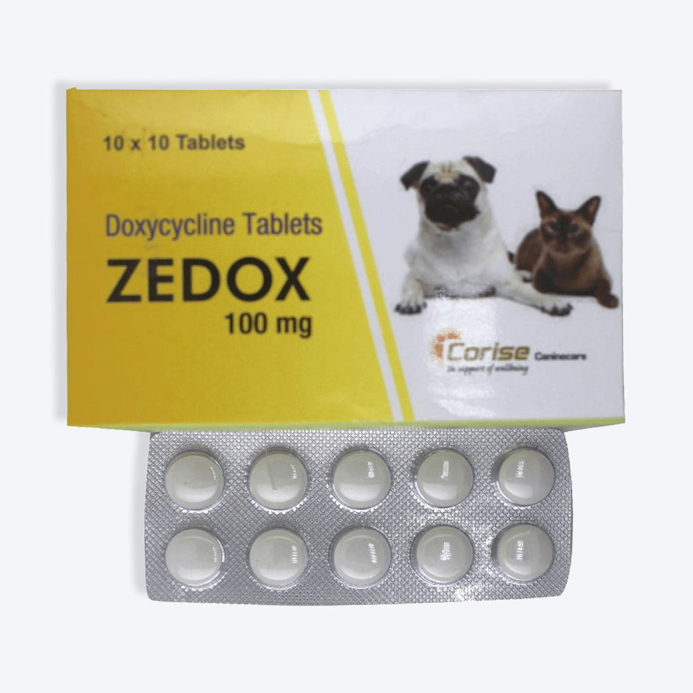 Corise Zedox Tablets For Dog & Cat - 10 Tablets - Heads Up For Tails