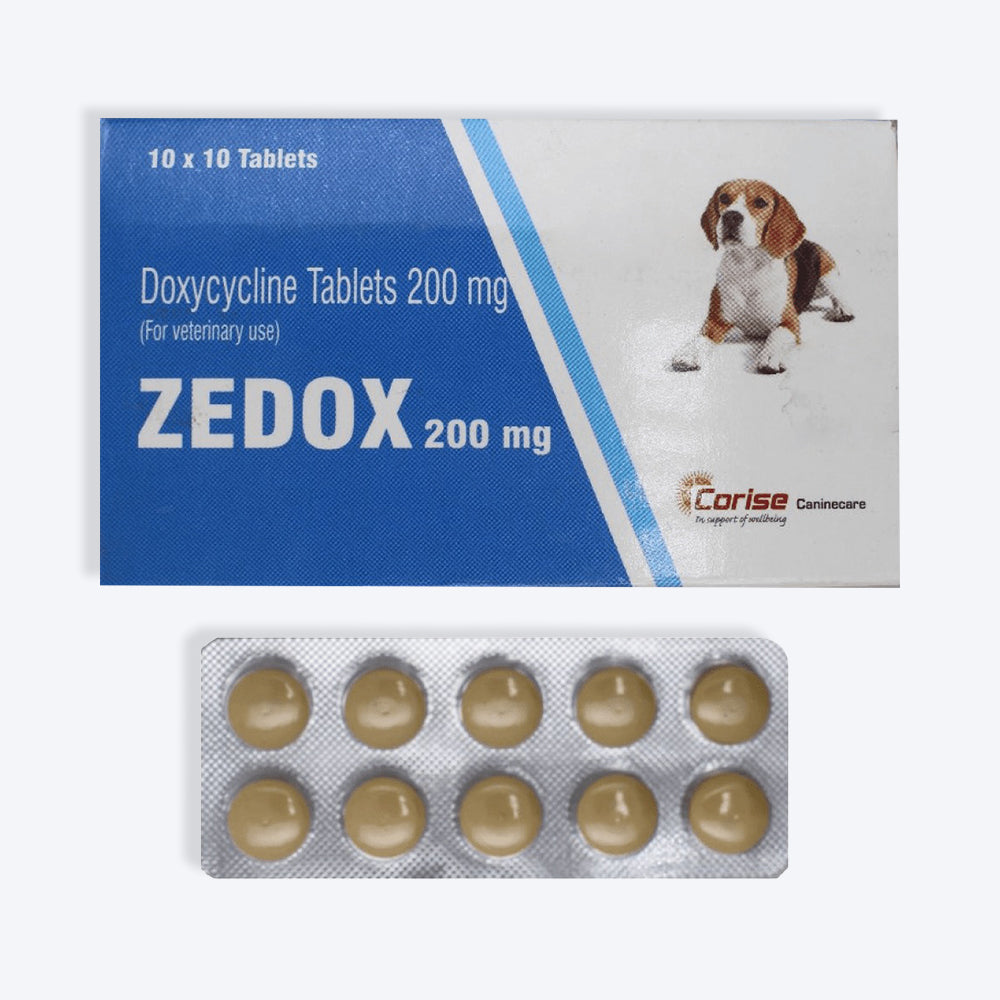 Corise Zedox Tablets For Dog & Cat - 10 Tablets - Heads Up For Tails