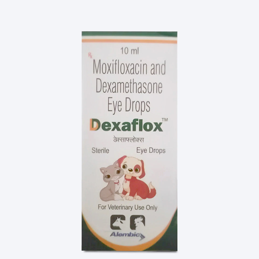 Intas Dexaflox Eye Drops for Dogs Cats 10 ml – Heads Up For Tails