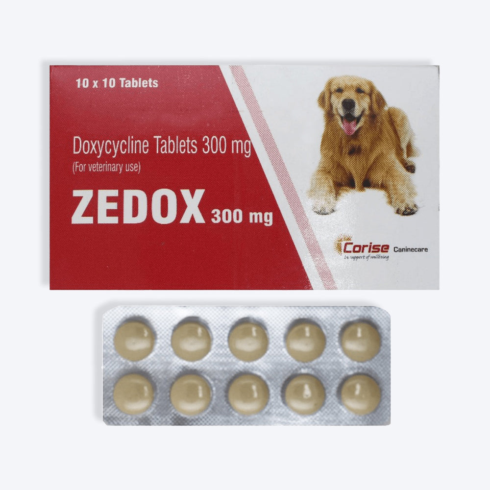 Corise Zedox Tablets For Dog & Cat - 10 Tablets - Heads Up For Tails