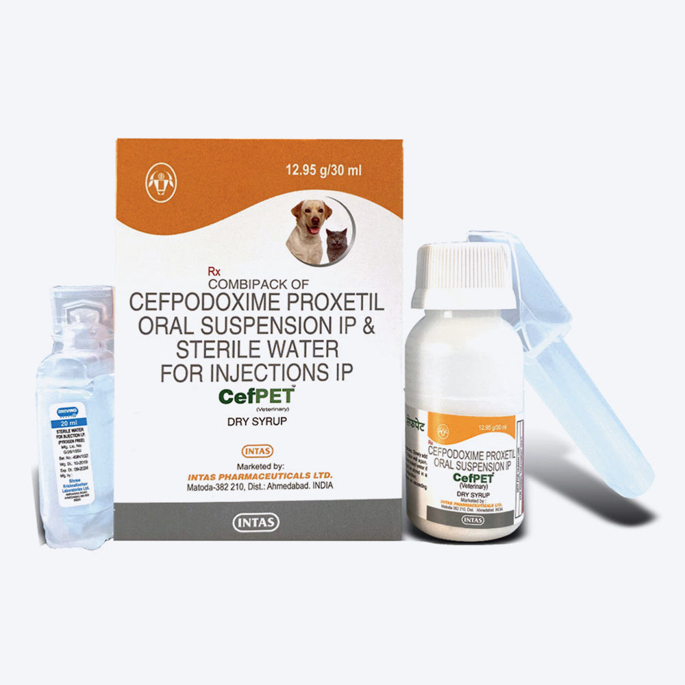 Intas Pet Cefpet (DS) Syrup For Dog & Cat - 30 ml - Heads Up For Tails