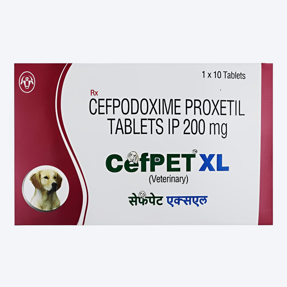 Intas Pet Cefpet XL Tablets 200 mg For Dog & Cat - 10 Tablets - Heads Up For Tails