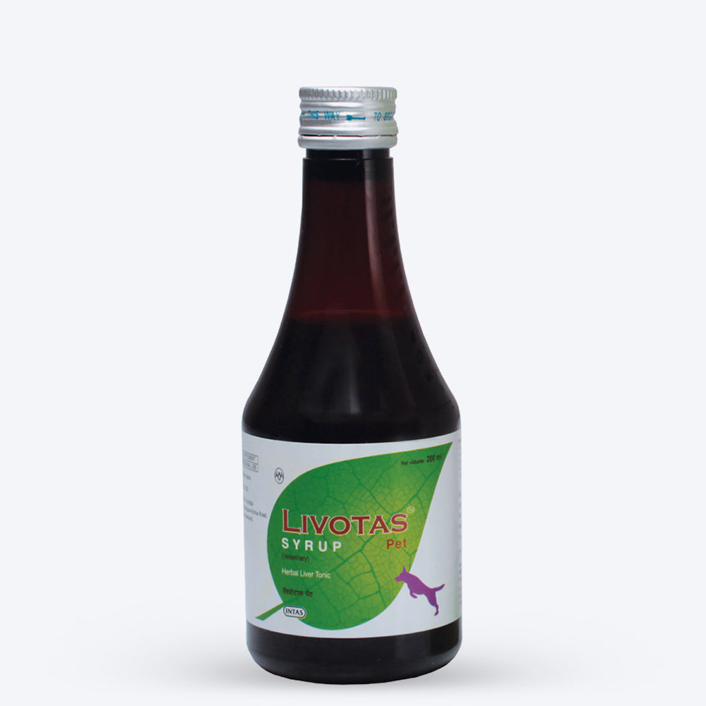 Intas Pet Livotas Liver Support For Dog & Cat - 200 ml - Heads Up For Tails