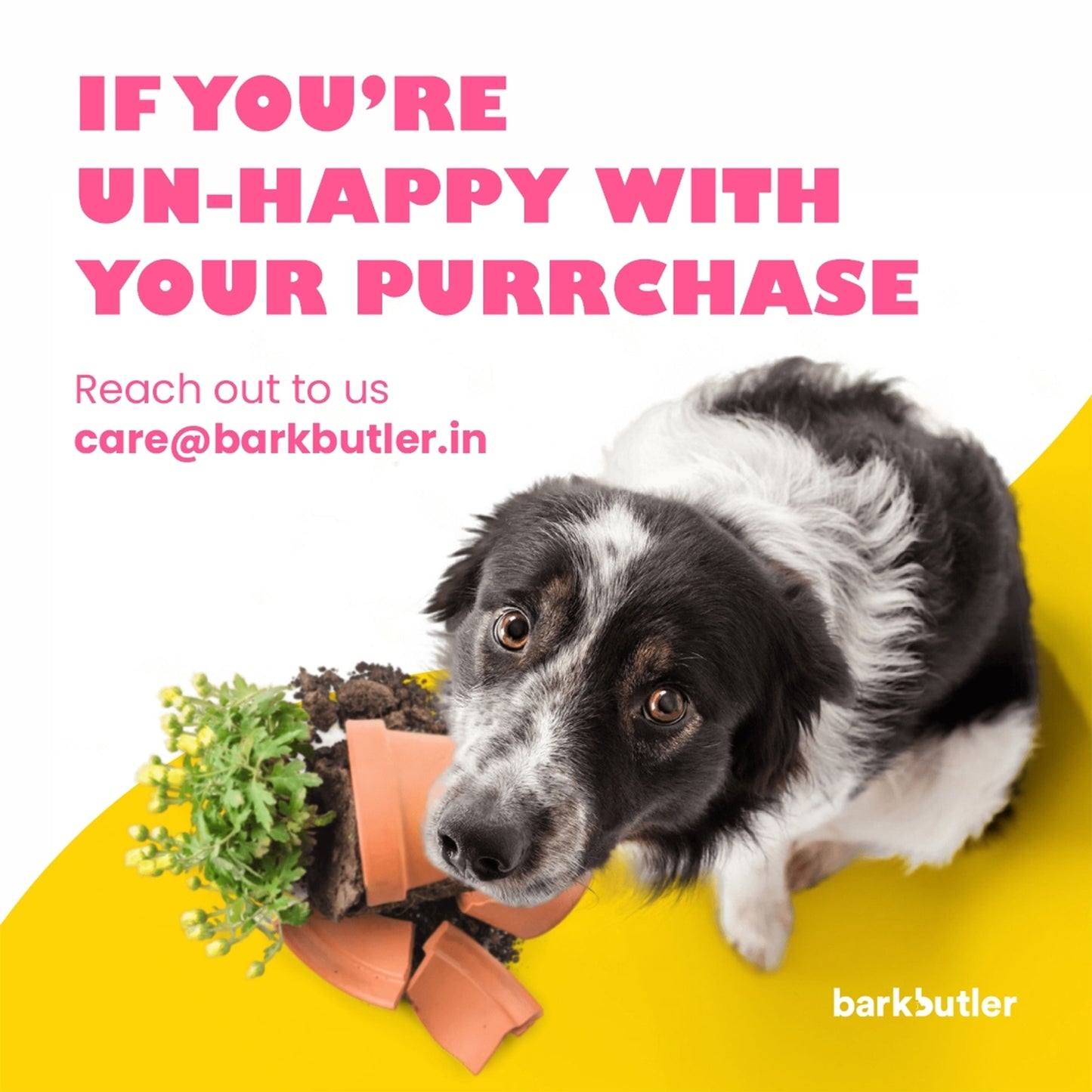 Barkbutler Aly The Gator Squeaky Plush Toy For Dog - Green - Heads Up For Tails