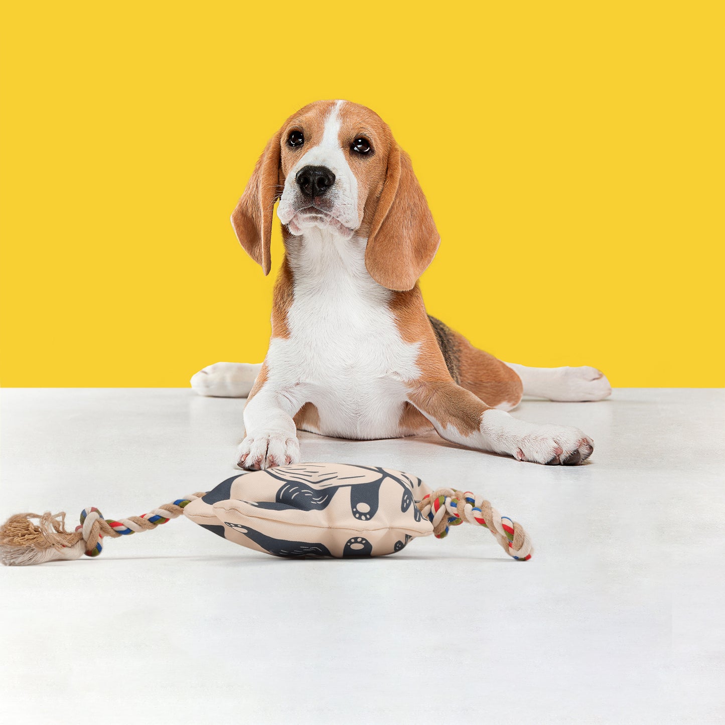 FOFOS Panda Squeaky With Flossy Rope Dog Toy - Black - Heads Up For Tails