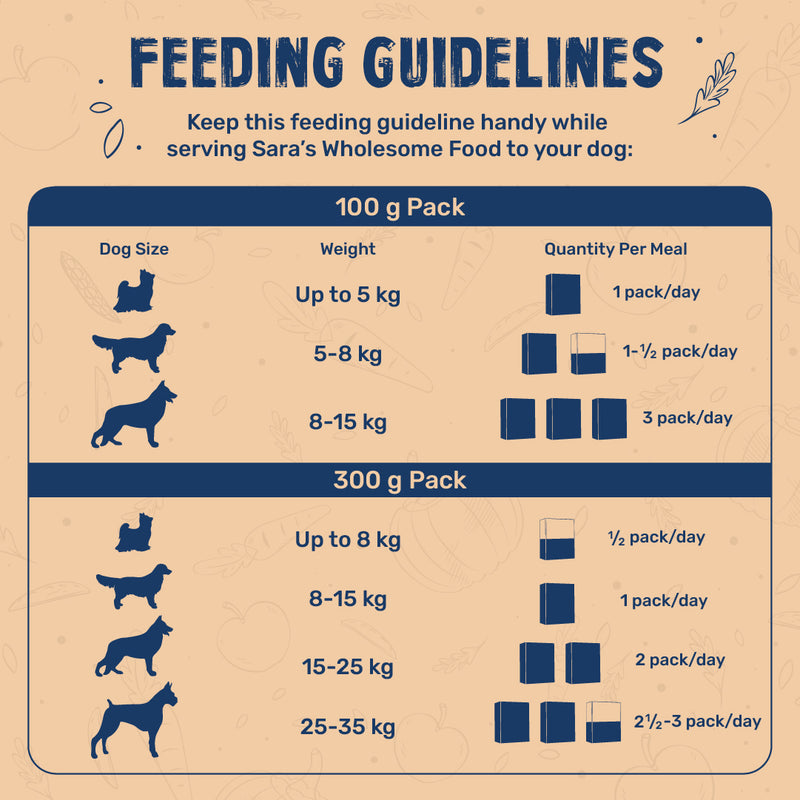 Sara's Wholesome Classic Paneer & Veggies Ready-to-Eat Vegetarian Dog Food – Human-Grade, Preservative-Free - Heads Up For Tails