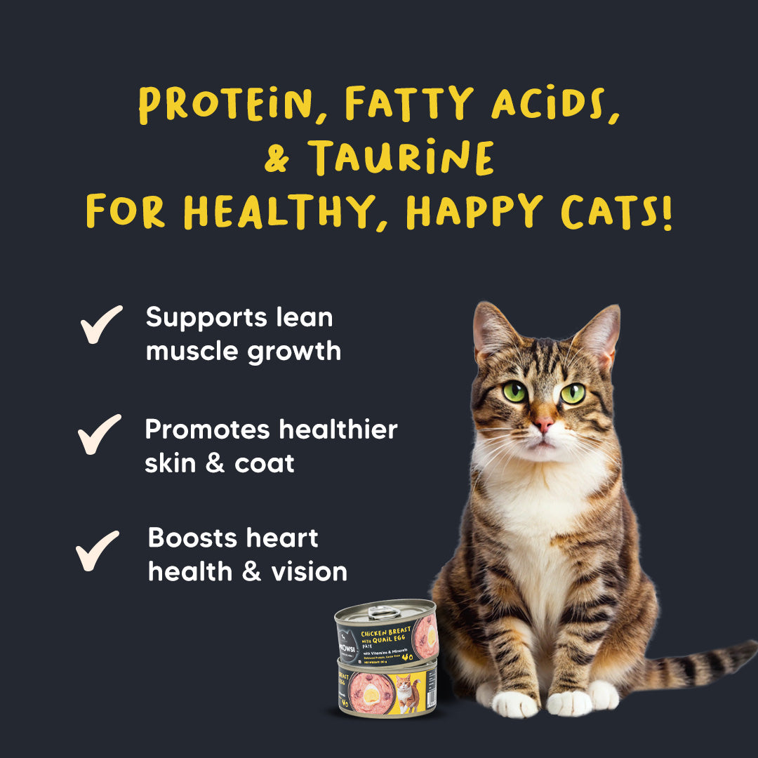 Meowsi by HUFT Chicken Breast With Quail Egg Pate Canned Cat Wet Food - 80 gm - Heads Up For Tails