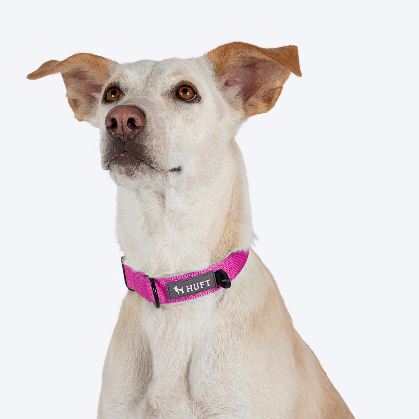 HUFT Basics Dog Collar - Pink - Heads Up For Tails