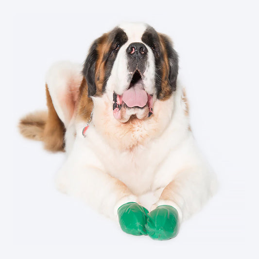 Protex Pawz Color - Disposable Dog Boots - Heads Up For Tails