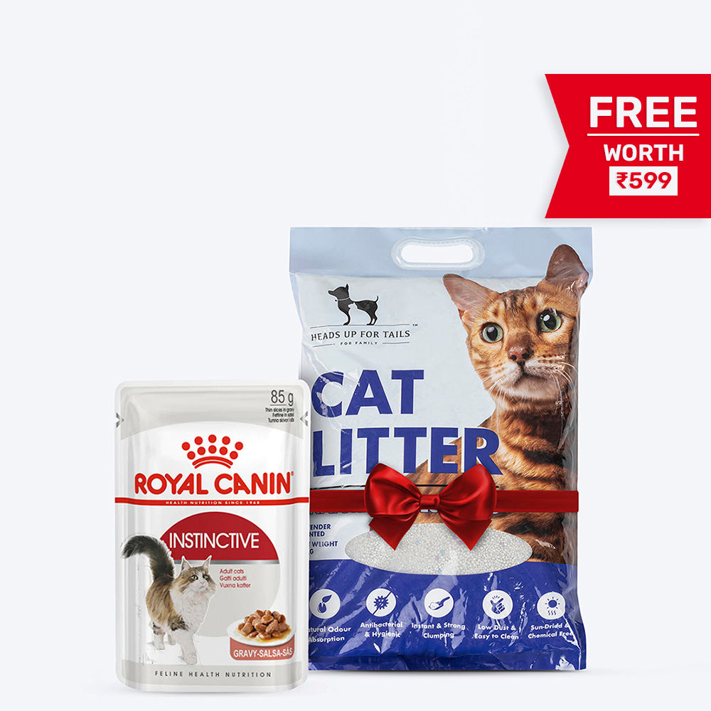 Royal Canin Instinctive Wet Cat Food - 85 g packs