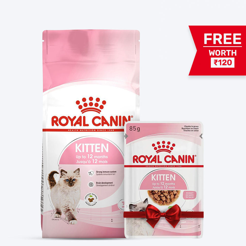 Royal Canin Kitten Dry Cat Food