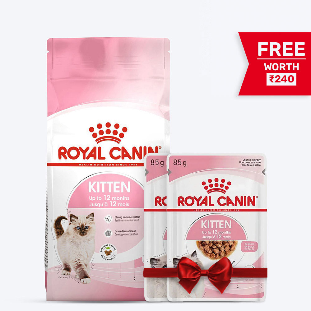 Royal Canin Kitten Dry Cat Food