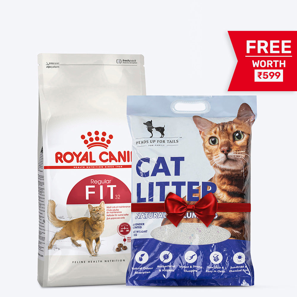 Royal Canin Fit 32 Adult Dry Cat Food