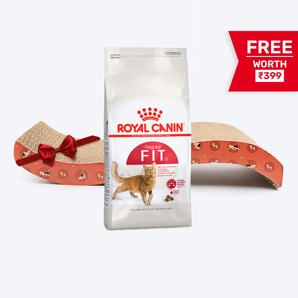 Royal Canin Fit 32 Adult Dry Cat Food