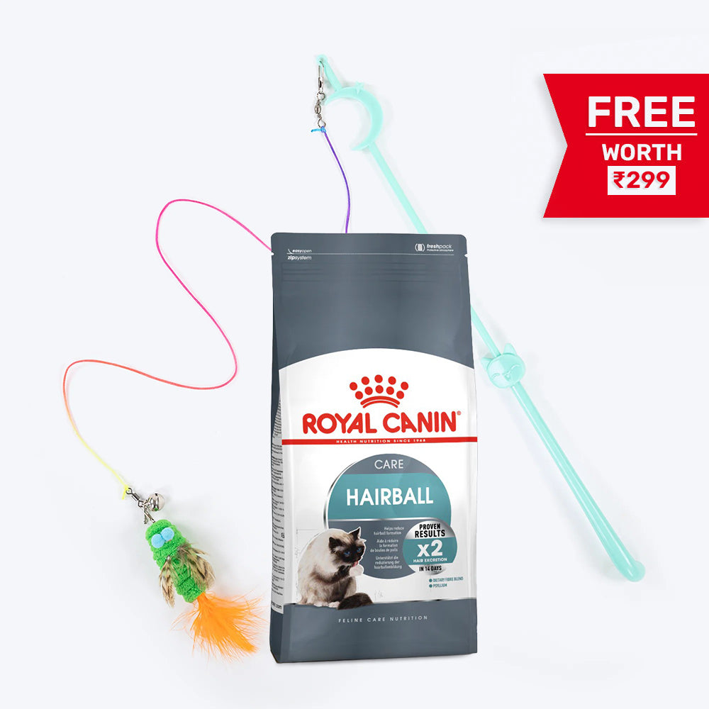 Royal Canin Hairball Care Dry Cat Food