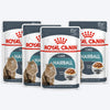 Royal Canin Hairball Care Gravy Wet Cat Food - 85 g packs - Heads Up For Tails