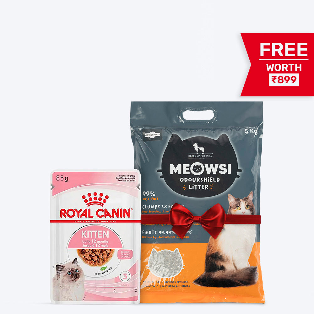 Royal Canin Instinctive Wet Kitten Food - 85 g packs - Heads Up For Tails